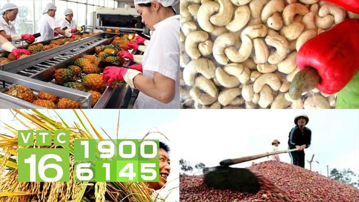Forestival 2025 và Hotspot Matrix: Một sự kiện video ngắn độc đáo