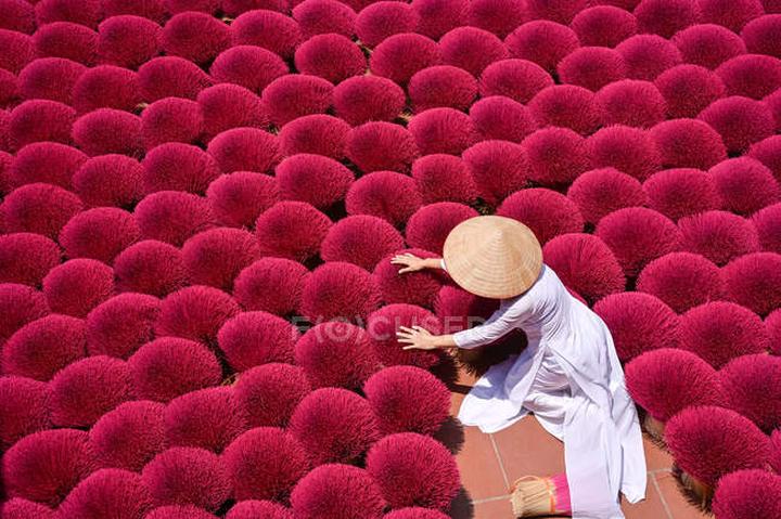 Xu Hướng Trồng Hoa Trở Thành Xu Hướng Video Marketing: Hotspot Matrix Chia Sẻ Kinh Nghiệm