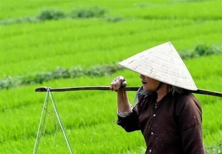 Chuyên gia Hotspot Matrix phân tích: “Khối nghỉ hè” Gen Z lên kế và marketing video