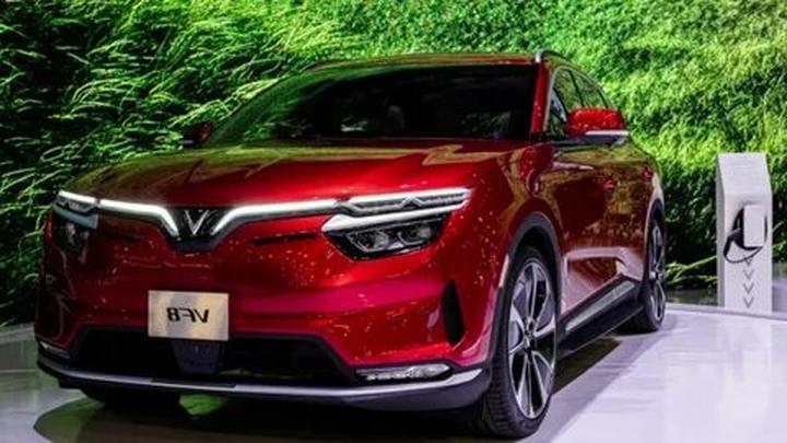 Loại cá được khen 